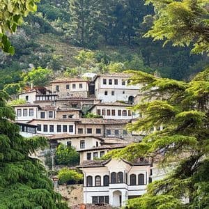 Un gruppo di case tradizionali bianche con tetti di tegole marroni, costruite su una lussureggiante collina verde, viste attraverso i rami degli alberi.