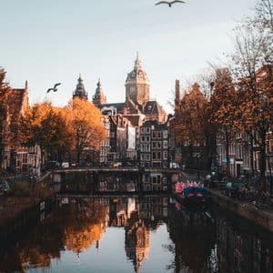 Un canal urbain reflète des bâtiments historiques et des arbres au feuillage d'automne orangé sous un ciel clair, avec des oiseaux en vol.