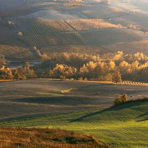 Dolci colline con vigneti e campi verdi sono illuminate dalla luce dorata del sole, proiettando lunghe ombre sul paesaggio.