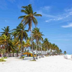 Alte palme fiancheggiano una spiaggia di sabbia bianca con un piccolo edificio giallo e sedie a sdraio sotto un cielo azzurro brillante.
