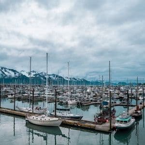 A harbor full of docked sailboats and motorboats with a backdrop of snow-capped mountains under a cloudy sky.