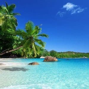 Des palmiers se penchent sur une plage de sable blanc avec une eau claire et turquoise sous un ciel bleu éclatant.