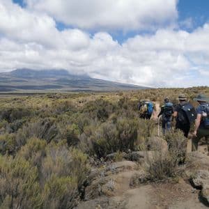 Un viaggio di gruppo WeRoad: trekking con zaini in spalla su un sentiero che attraversa una vasta macchia mediterranea, con una grande montagna sullo sfondo.