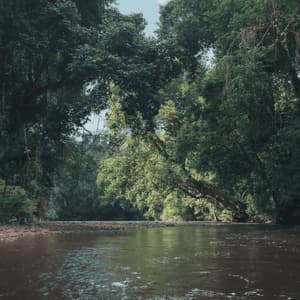 Un fiume torbido scorre attraverso una giungla fitta, con alberi lussureggianti e verdi e fogliame che si protende sull'acqua da entrambe le sponde.