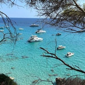 Una vista dall'alto, tra i rami degli alberi, di diverse barche e yacht bianchi ormeggiati in acque limpide e turchesi.