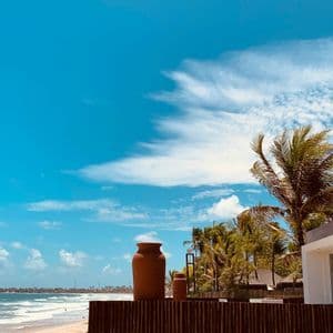 Due vasi di terracotta su una staccionata in legno con vista su una spiaggia di sabbia, palme e un cielo azzurro brillante.