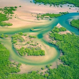 Una vista aérea de un río sinuoso que atraviesa bancos de arena y una exuberante vegetación de manglares.