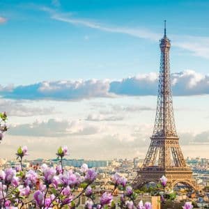 Der Eiffelturm ragt über die Pariser Skyline, umrahmt von rosa Frühlingsblüten unter einem teils bewölkten blauen Himmel.