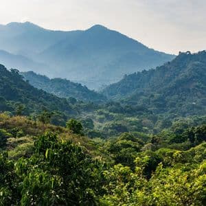 A scenic view of a vast valley filled with lush green jungle, with hazy mountain ranges layered in the distance.