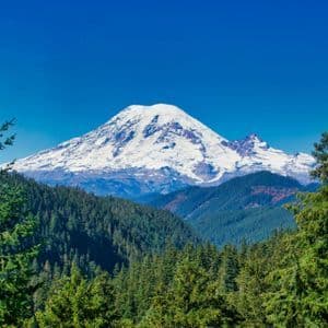 Una grande montagna innevata domina una fitta foresta verde sotto un cielo azzurro e limpido.