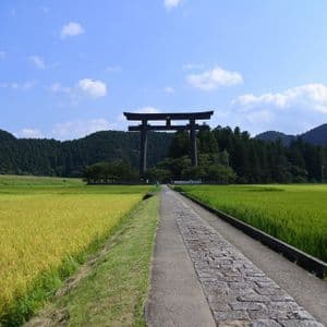 Un sentiero in pietra attraversa vivaci risaie verdi verso un grande cancello torii nero ai piedi di colline boscose.