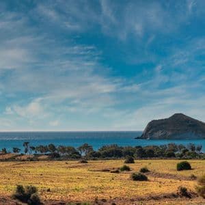 Un paesaggio costiero da un campo dorato che si affaccia sul mare blu, con una grande massa rocciosa in lontananza sotto un cielo nuvoloso.