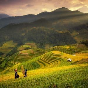 Two people in traditional clothing walk through golden terraced rice fields on a hillside, with mountains in the background and sunbeams overhead.