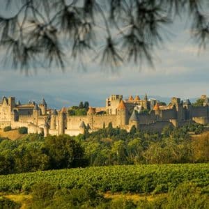 Un château médiéval en pierre avec de nombreuses tourelles est perché sur une colline au-dessus d'un vignoble verdoyant, aperçu à travers des aiguilles de pin floues.