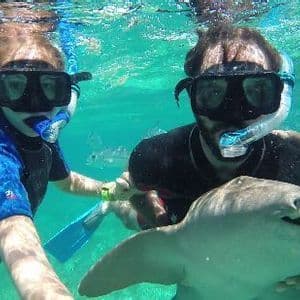 Snorkeling with nurse sharks Snorkelers swimming with a nurse shark on the Belize Barrier Reef