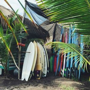 Verschiedene Surfbretter stehen in einem Ständer auf einer sandigen Fläche, beschattet von einer Strohhütte und eingerahmt von Palmenwedeln.
