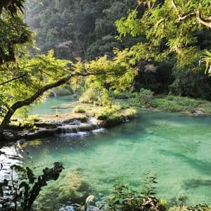 Ein türkisfarbener Fluss mit kleinen terrassierten Wasserfällen fließt durch einen üppig grünen Dschungel, während die Sonne durch die Bäume scheint.