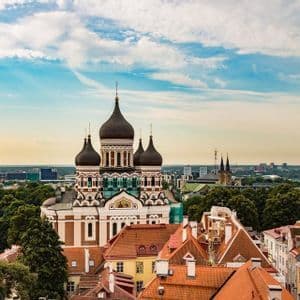 Eine Stadtansicht mit einer großen Kathedrale mit schwarzen Zwiebeltürmen, umgeben von rotgedeckten Gebäuden und Bäumen unter bewölktem Himmel.