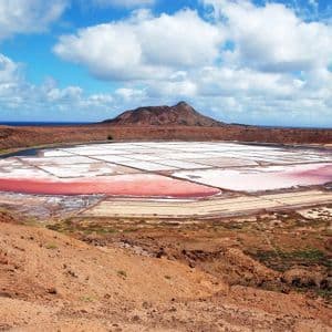 Saline rosa e bianche si estendono su un paesaggio arido e vulcanico, con una montagna e l'oceano visibili sullo sfondo.