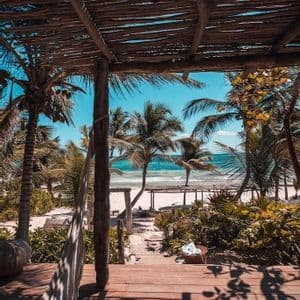 Una vista da un rustico ponte in legno affacciato su una spiaggia tropicale sabbiosa con palme e onde turchesi.