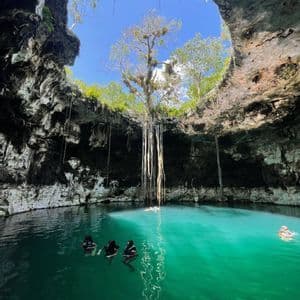 Un voyage de groupe WeRoad nage dans l'eau turquoise d'un cénote, avec la lumière du soleil traversant une grande ouverture dans le plafond de la grotte.