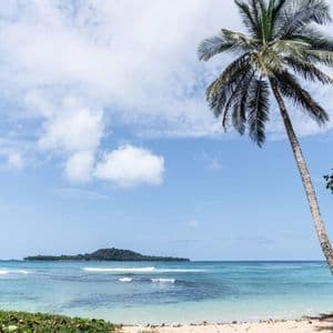 Una palma slanciata su una spiaggia sabbiosa domina le acque turchesi dell'oceano con una piccola isola lontana sotto un cielo parzialmente nuvoloso.