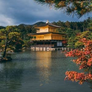 Un templo dorado tradicional se alza junto a un lago, su reflejo visible en el agua, rodeado de árboles con follaje otoñal.