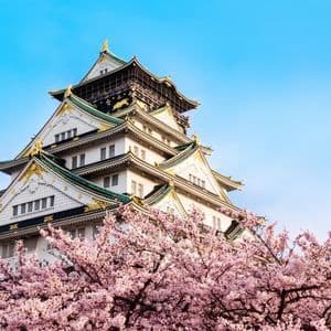 Un castillo japonés con tejados de tejas verdes y detalles dorados se alza sobre cerezos en flor rosados bajo un cielo azul claro.