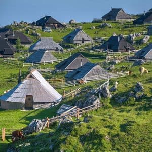 Ein Dorf mit traditionellen Holzhütten und Schindeldächern liegt auf einem sonnigen, grünen Berghang mit weidenden Kühen.