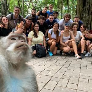 Un macaque prend un selfie avec un groupe WeRoad souriant posant derrière lui dans un décor forestier.