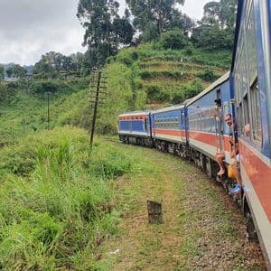 Un viaje en grupo de WeRoad en las puertas abiertas de un tren azul y rojo que atraviesa un exuberante paisaje verde.
