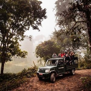 Un viaje en grupo de WeRoad en un jeep descapotable por un camino de tierra a través de un bosque con niebla junto a un río.