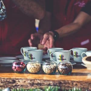A close-up of a coffee tasting with bowls of coffee beans and mugs that say 'Cafe de Colombia' on a wooden surface.