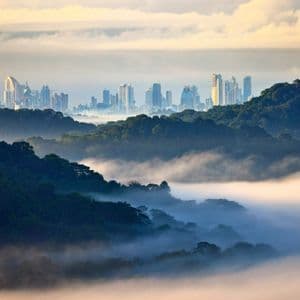 A modern city skyline rises in the distance beyond green, rolling hills partially covered by a thick blanket of fog.
