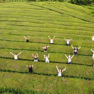 An aerial view of a WeRoad group trip with people standing and waving among the rows of a terraced tea plantation on a hillside.