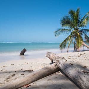 Eine Langzeitbelichtung eines tropischen Strandes mit einer geneigten Palme, glattem türkisfarbenem Wasser und Treibholz auf dem weißen Sand unter einem klaren Himmel.