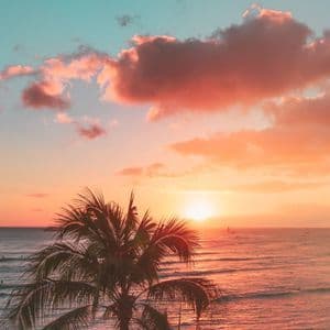 Eine Palme zeichnet sich vor einem Sonnenuntergang am Meer ab, wobei sich rosa und orangefarbene Wolken auf dem Wasser spiegeln.