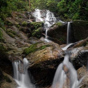 Una cascata a più livelli, catturata con una lunga esposizione, scorre su rocce muschiose in una lussureggiante foresta verde.