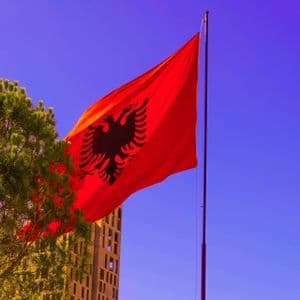 Die rote Flagge Albaniens mit einem schwarzen doppelköpfigen Adler weht an einem Fahnenmast vor klarem blauem Himmel neben einer Kiefer.