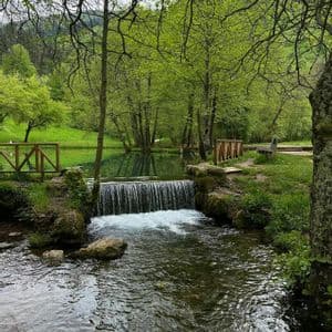 Ein kleiner Wasserfall fließt in einen Bach in einem üppig grünen Park, umgeben von Bäumen und einem Holzzaun.