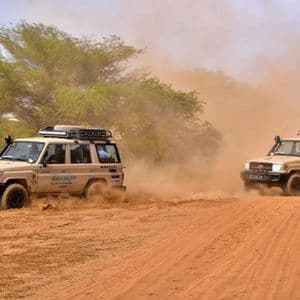 Dos jeeps de safari de un viaje en grupo de WeRoad levantan polvo mientras conducen por un camino arenoso con árboles al fondo.