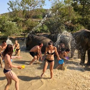 WeRoad Gruppenreise: Elefanten spielen und spritzen Wasser in einem flachen, schlammigen Fluss.