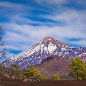 Una montagna vulcanica innevata si vede in lontananza dietro pini verdi e un albero spoglio sotto un cielo blu.