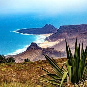 Blick von oben auf eine zerklüftete Küste mit Sandstrand an einem strahlend blauen Meer und einer grünen, stacheligen Pflanze im Vordergrund.