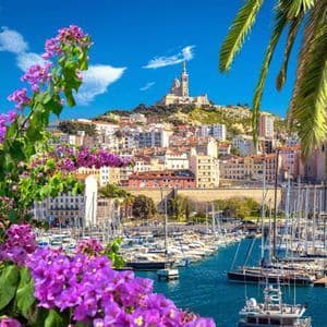 Fiori viola e una foglia di palma incorniciano una vista soleggiata di un porto cittadino con barche ormeggiate e una basilica su una collina.