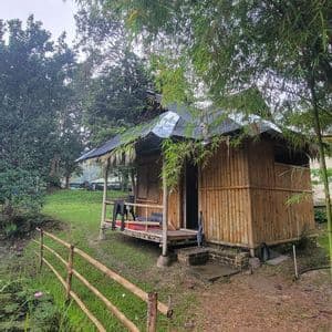 Une petite cabane en bambou avec un porche se trouve dans un paysage verdoyant luxuriant, à côté d'un étang bordé d'une clôture en bois.