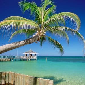 Eine geneigte Palme wölbt sich über klares türkisfarbenes Wasser, mit einem Holzsteg und einem Pavillon im Hintergrund unter einem tiefblauen Himmel.