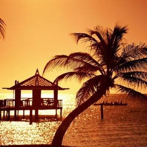 Eine Palmen-Silhouette und ein Pier mit einem Pavillon über dem Meer während eines warmen, orangefarbenen Sonnenuntergangs, wobei sich das Licht auf dem Wasser spiegelt.
