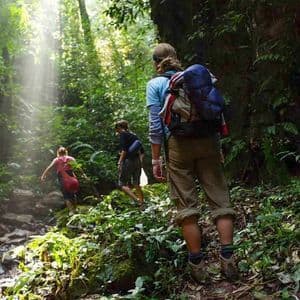 Un viaggio di gruppo WeRoad fa trekking su un sentiero roccioso attraverso una giungla lussureggiante mentre i raggi del sole filtrano tra gli alberi.