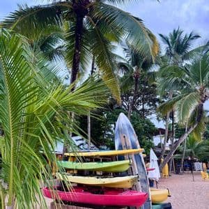 Kayak colorati e una tavola da surf sono impilati su una rastrelliera di legno su una spiaggia sabbiosa circondata da palme.